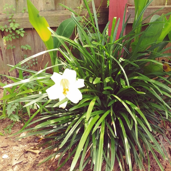 Meet the Posher - Picture 7 of 7